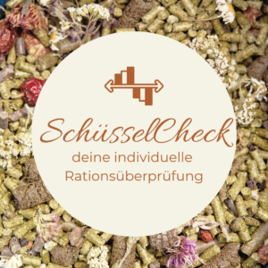 SchüsselCheck
